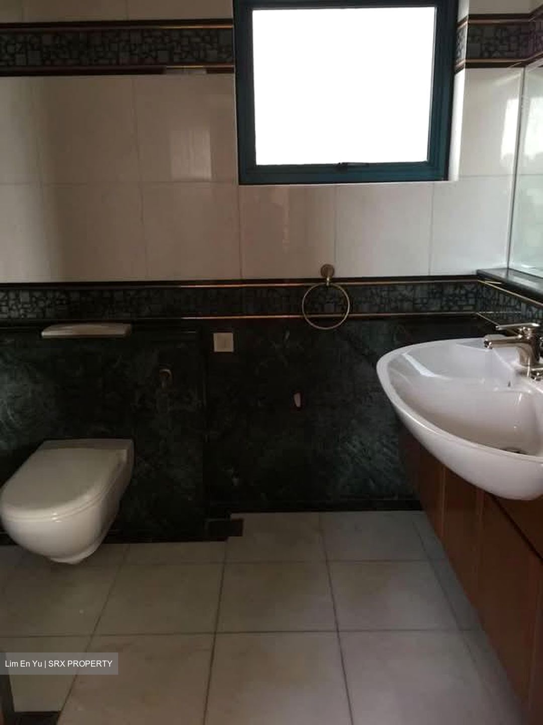 The Legend (D10), Condominium #583439661